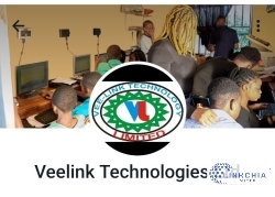 Veelinks Technologies Limited 
