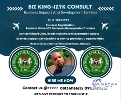 BIz KING-IZYK CONSULT 