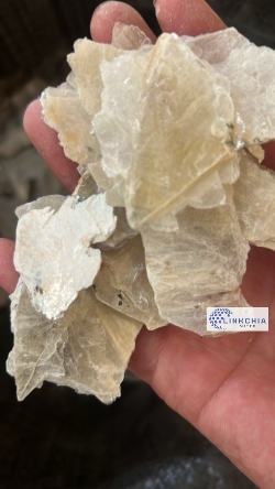 Coastrange Minerals Limited 
