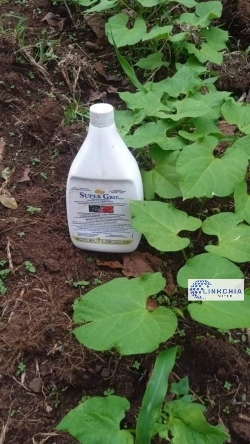 Valtex Chemical