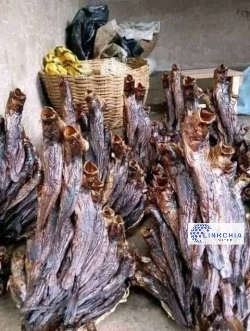 TOSIN SEAFOODS 