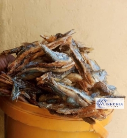 Onyinyechi-H-Mary supply 